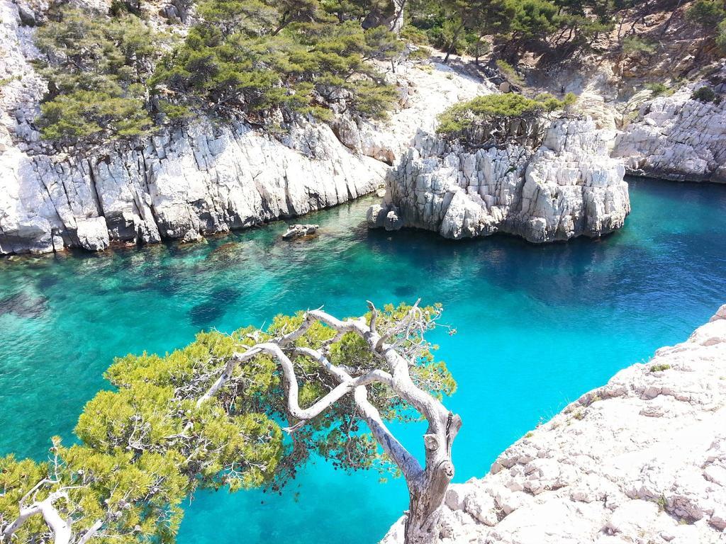 La Palmeraie Marseille Kültér fotó