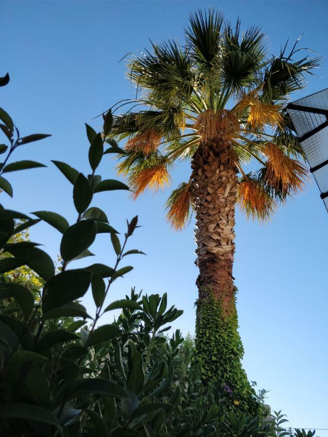 La Palmeraie Marseille Kültér fotó